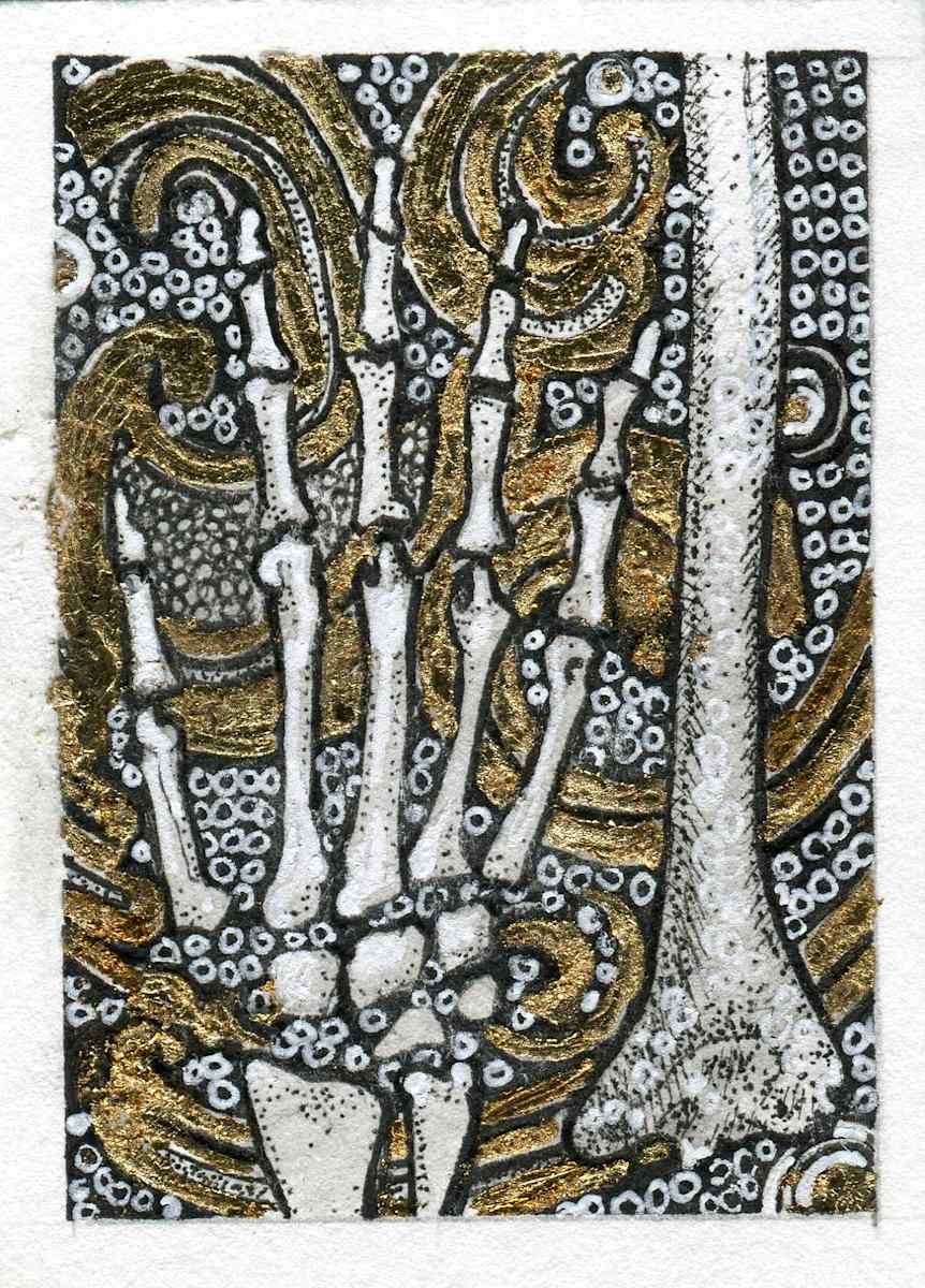 Hand and Arm Bones by Julie Peterson Shea, Image 1.