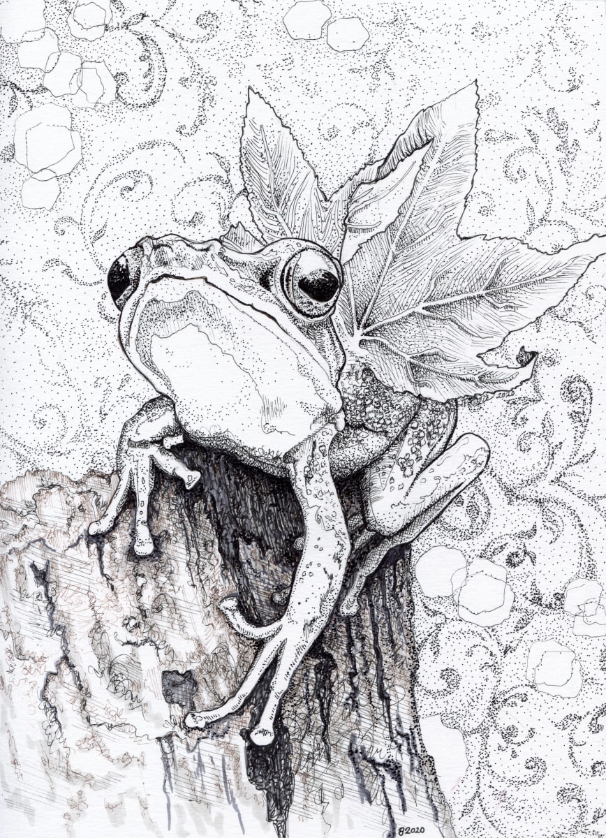 Old Friend, Winged Frog 