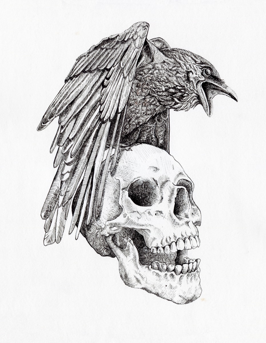 Frank and the Raven 