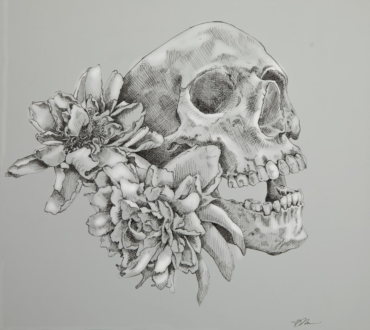 Skull and Peonies by Julie Peterson Shea 