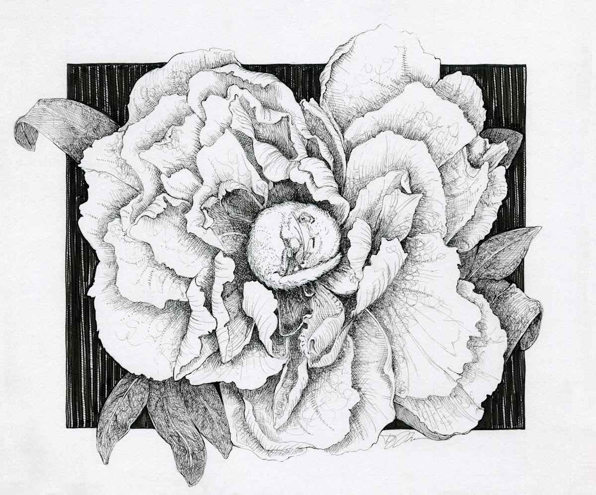 Sleeping Dormouse, Image 1.