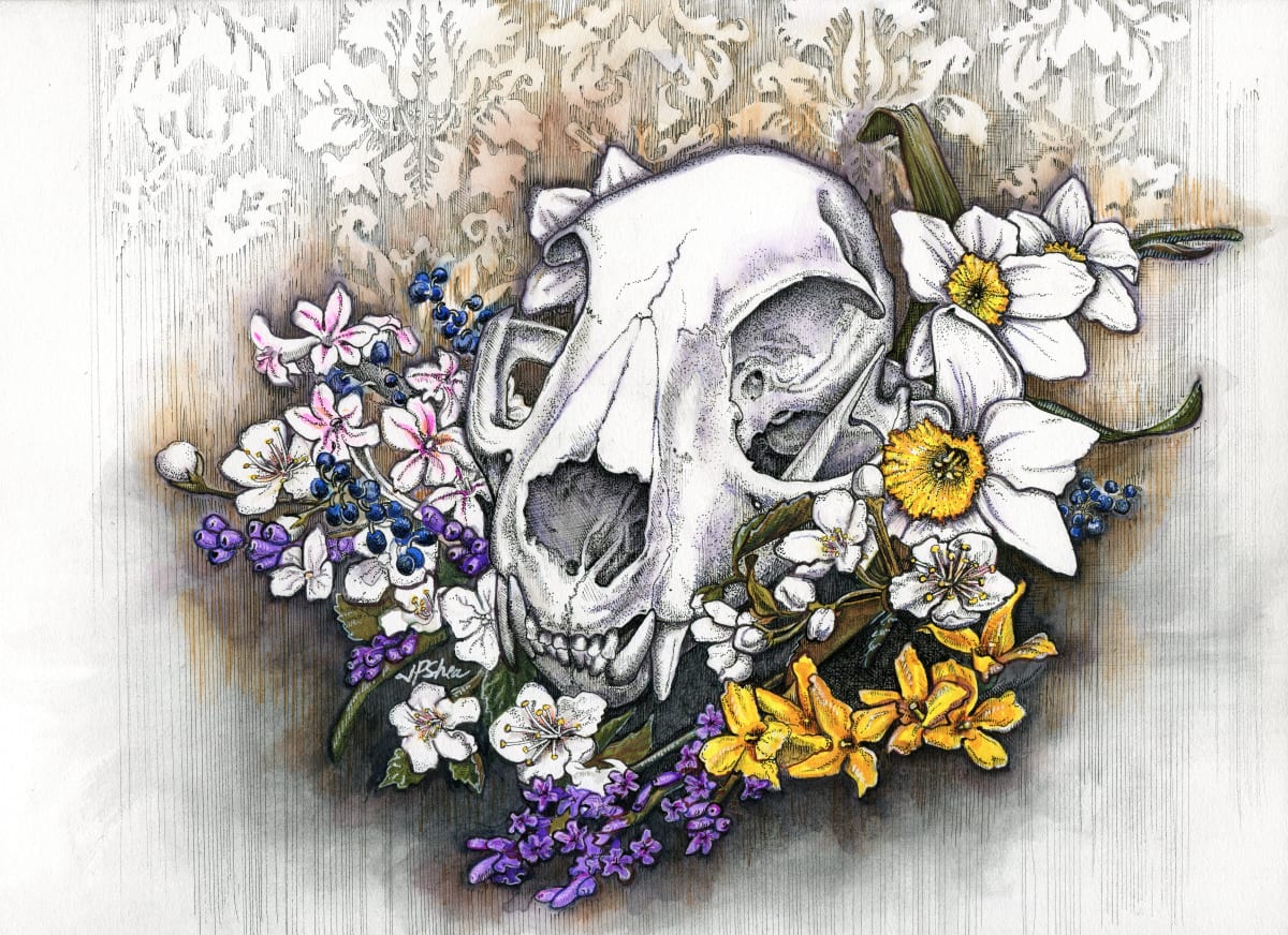 Spring Flowers and Cat Skull by Julie Peterson Shea 