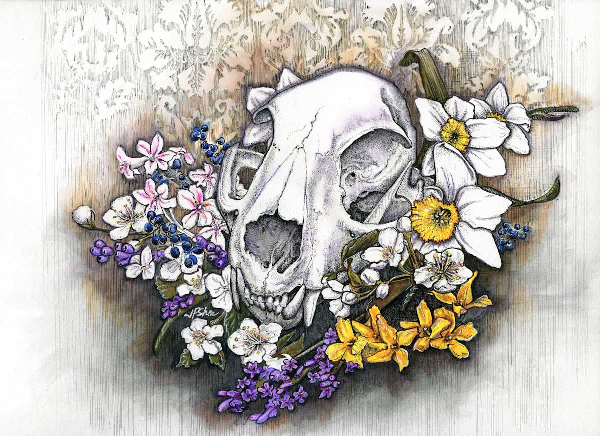 Spring Flowers and Cat Skull by Julie Peterson Shea, Image 1.