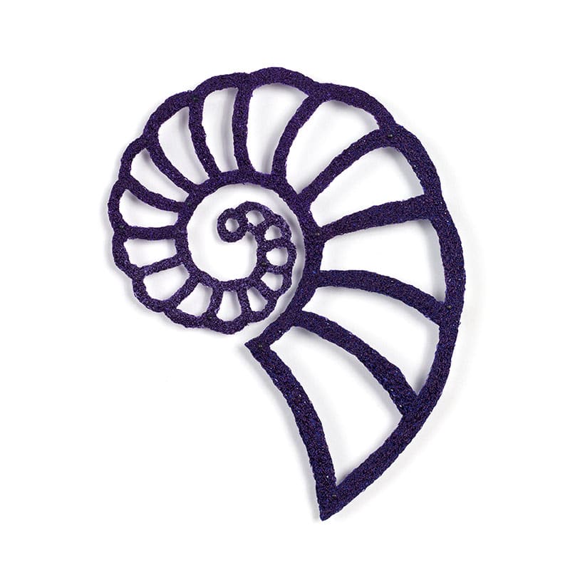 #13 Spirula, Image 3.