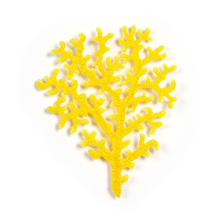 #4 Yellow Deep Sea Coral, Image 3.