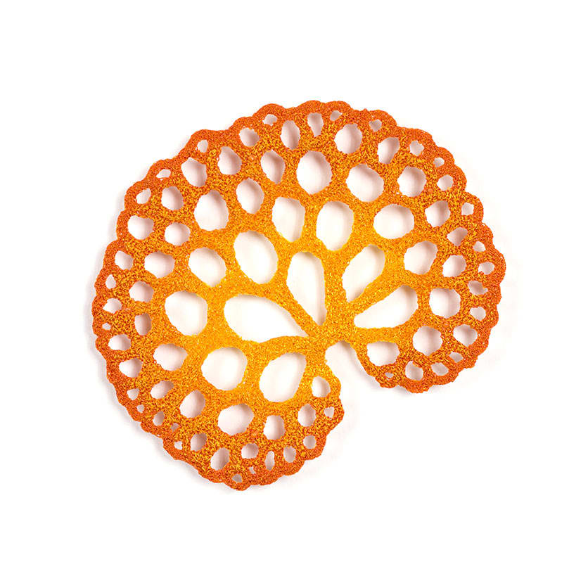 #6 Orange Pore Fungus 