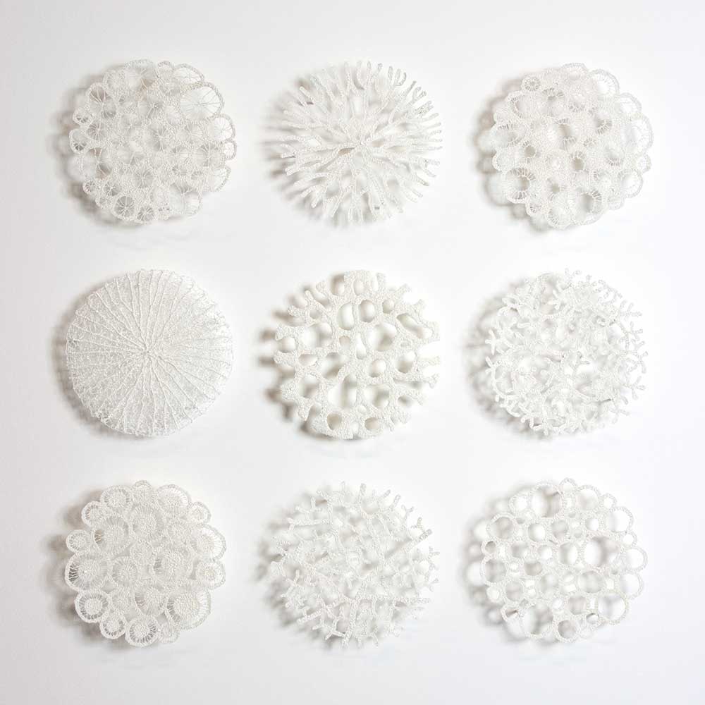 Specimen Collection by Meredith Woolnough 
