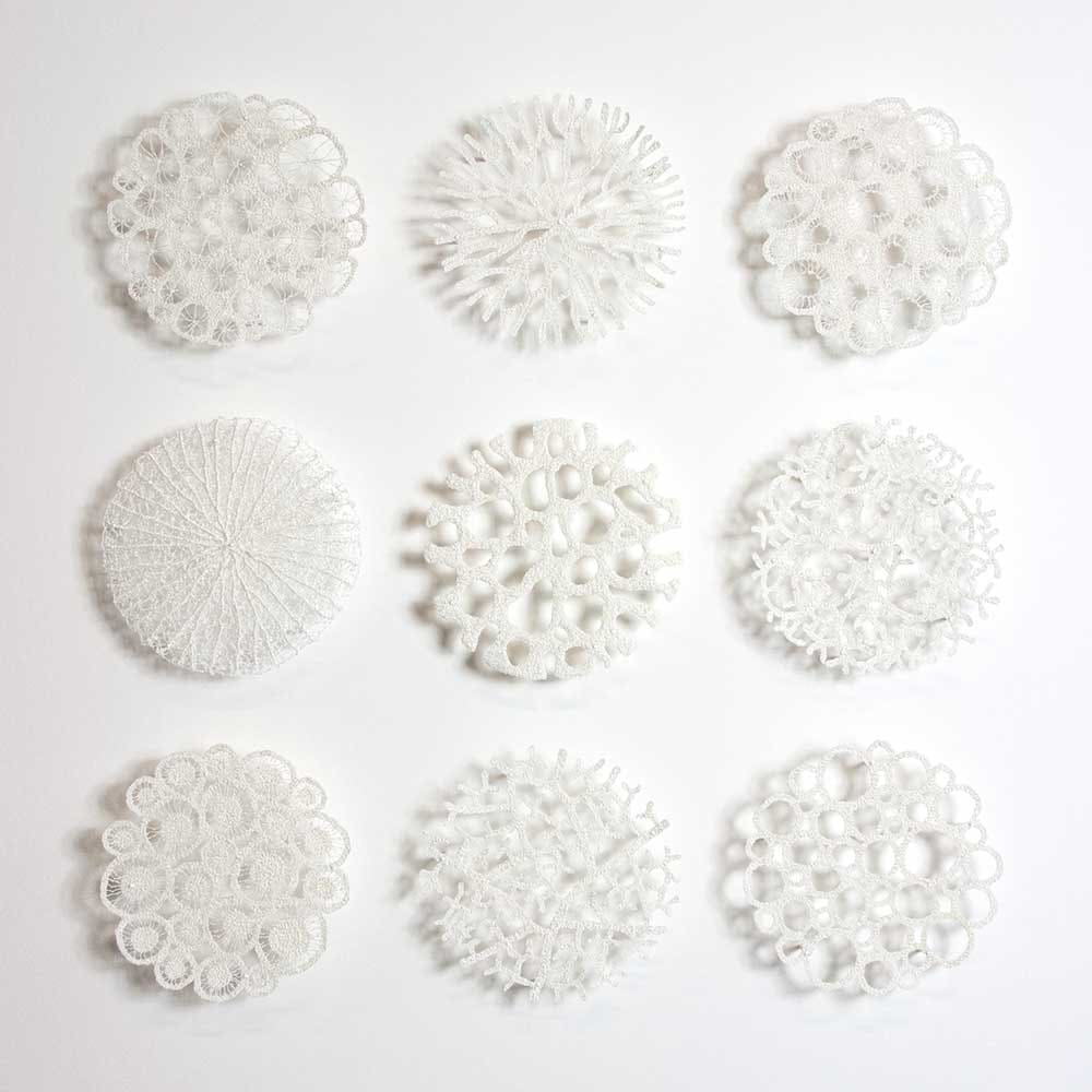 Specimen Collection by Meredith Woolnough, Image 3.