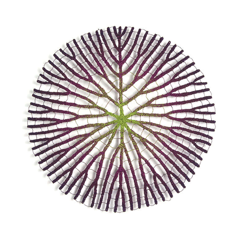 Amazonian Water Lily by Meredith Woolnough 