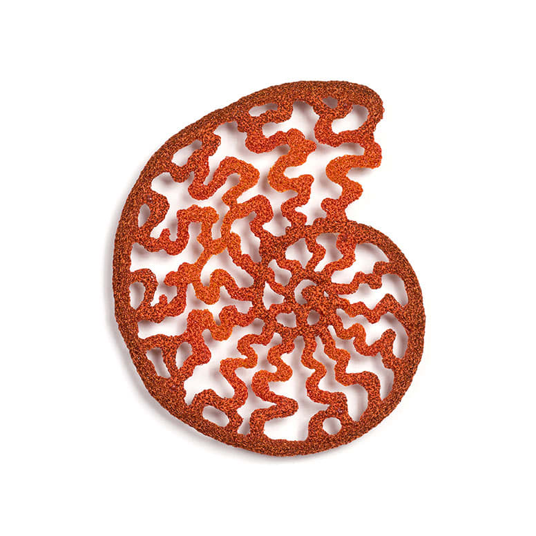 #22 Ammonite, Image 3.