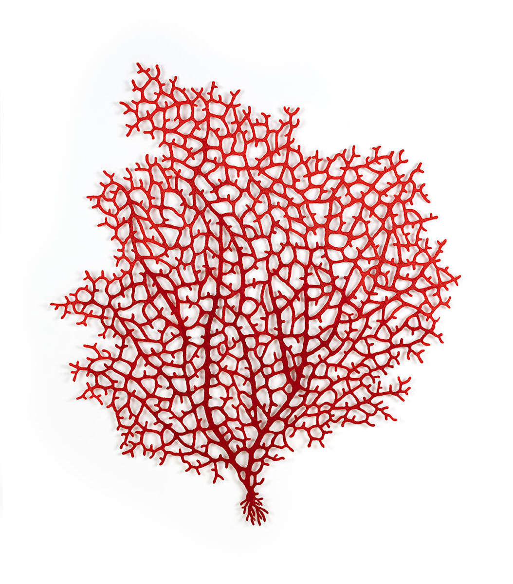 Ruby Gorgonian by Meredith Woolnough 