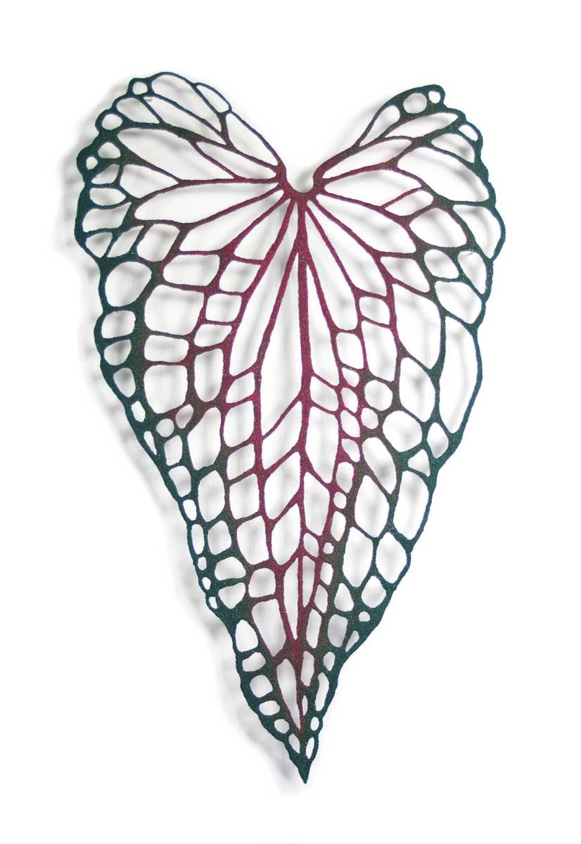 Caladium by Meredith Woolnough 