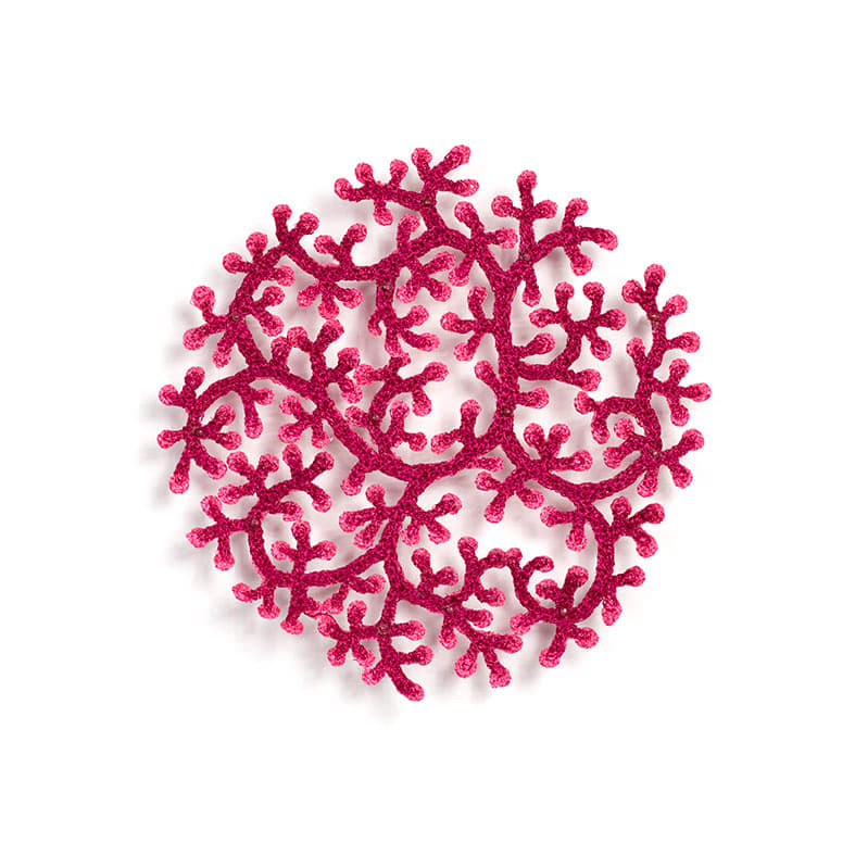 #29 Cluster Coral, Image 3.