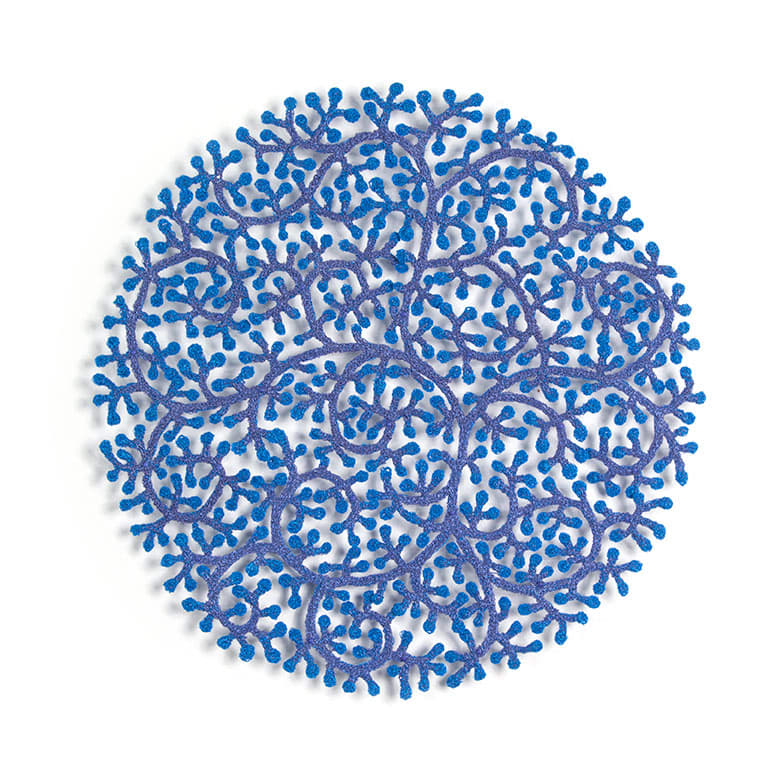 Coral Polyps by Meredith Woolnough 