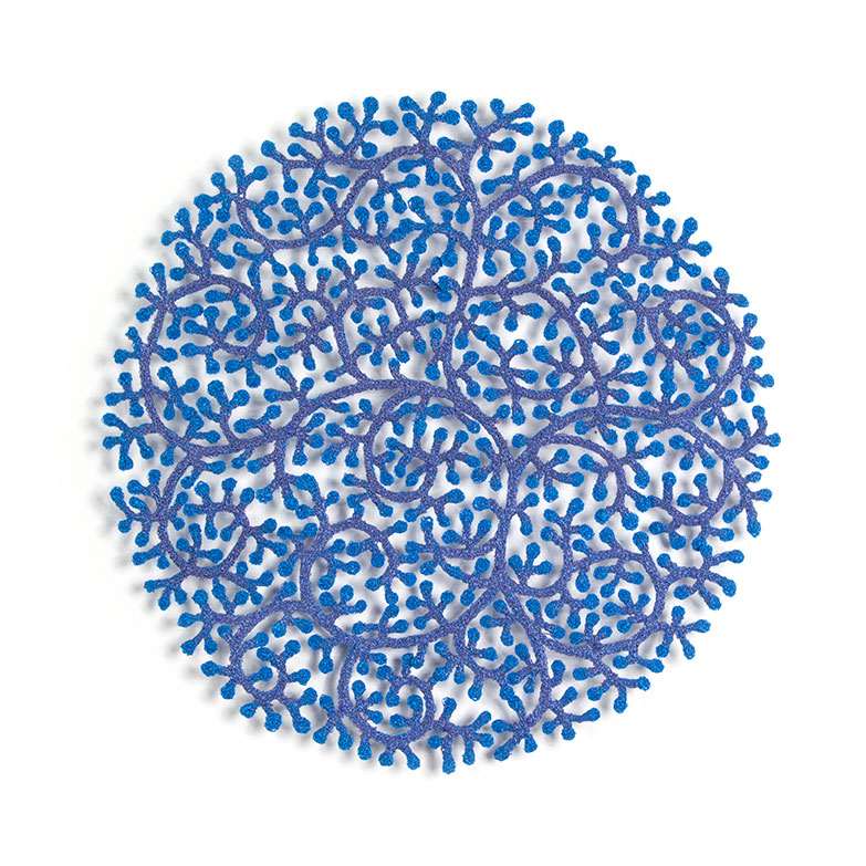 Coral Polyps by Meredith Woolnough, Image 2.
