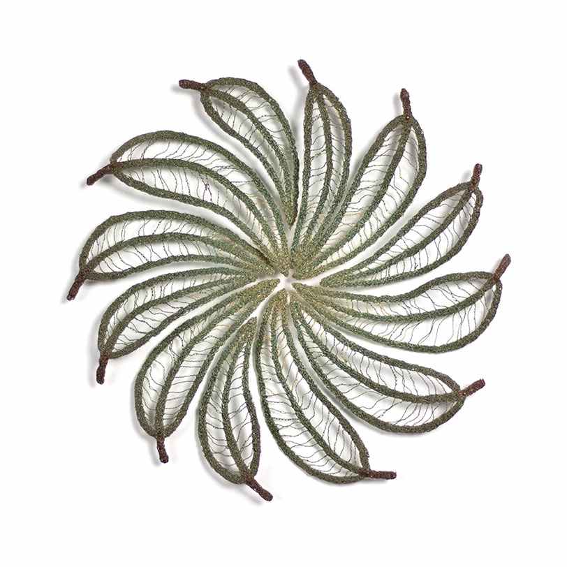 Eucalyptus leaf Colour Wheel #2 by Meredith Woolnough, Image 1.