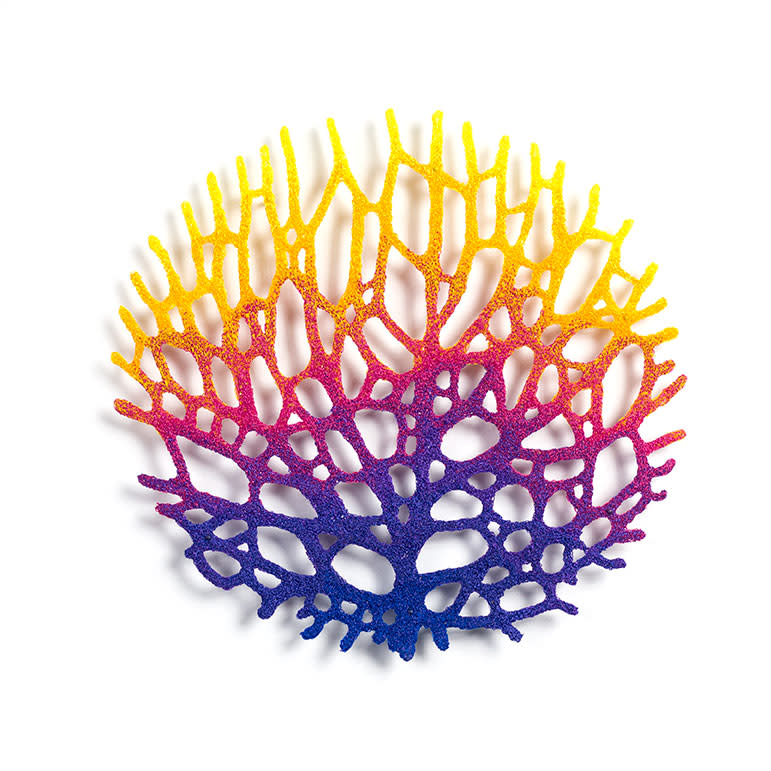 Coral Fan Study 'Glowing Glowing Gone' by Meredith Woolnough 