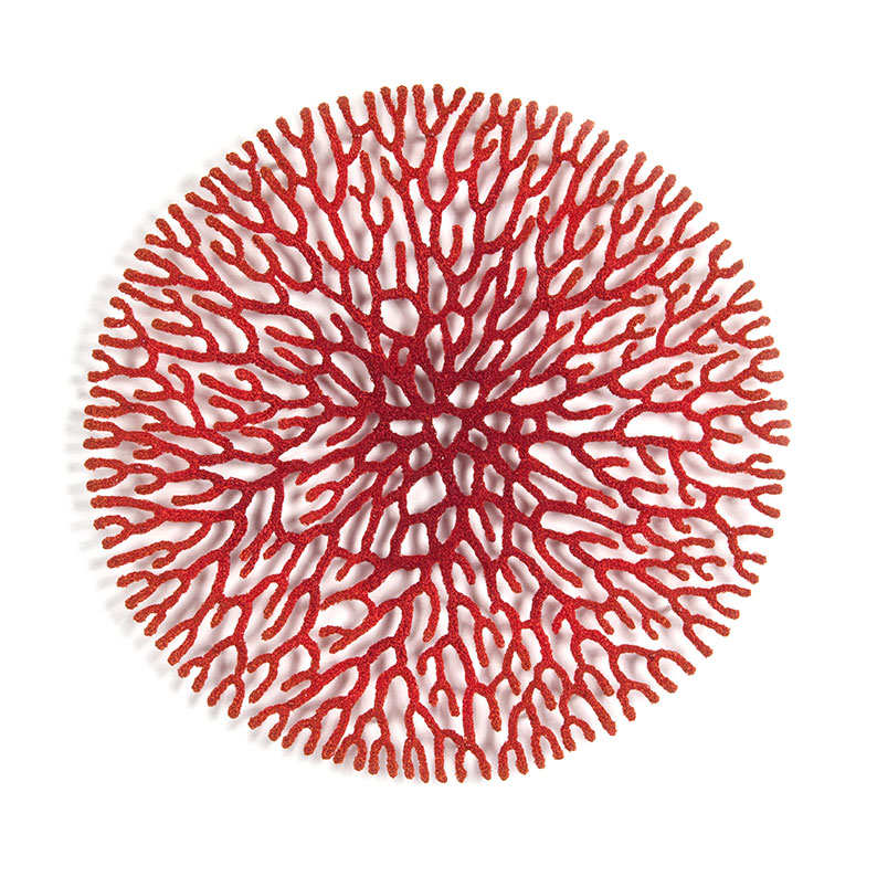 Coral Network 2 by Meredith Woolnough, Image 2.