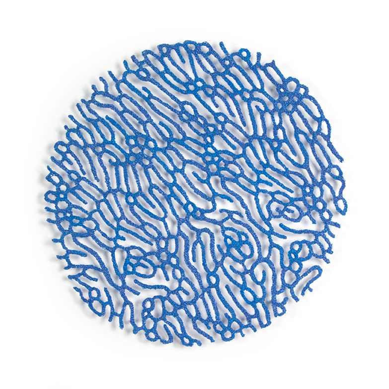 Coral Study by Meredith Woolnough 