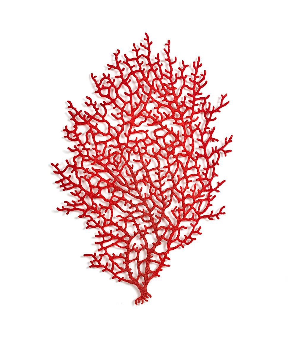 Crimson Coral branch by Meredith Woolnough 