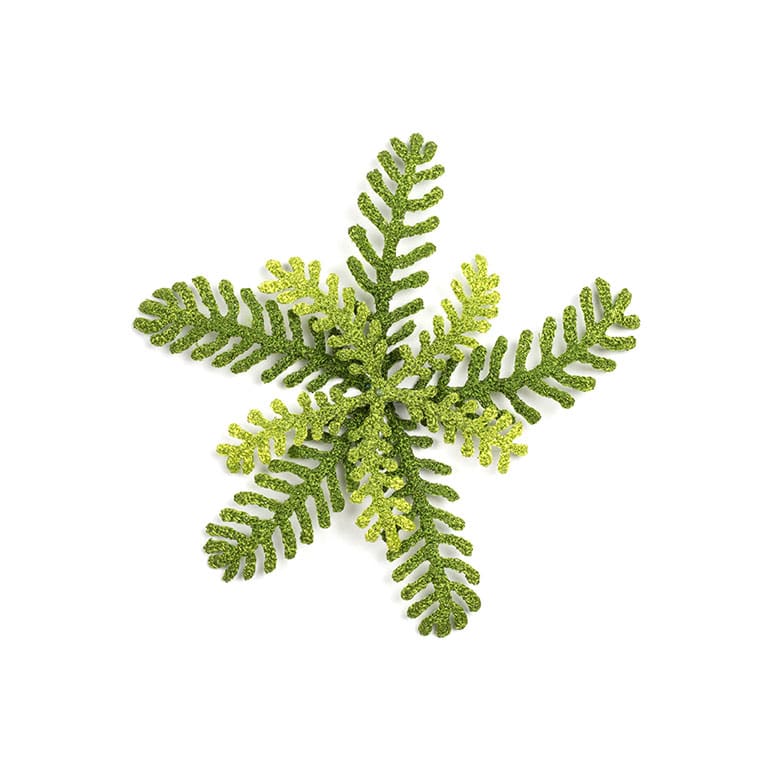 #77 Fern Star, Image 3.