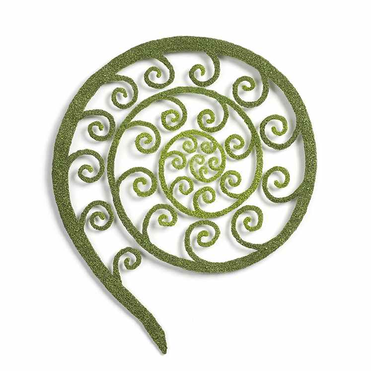 Fern Frond by Meredith Woolnough, Image 2.
