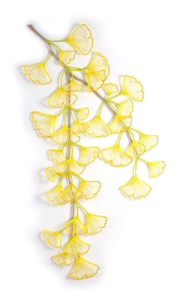 Ginkgo Branch, Image 1.