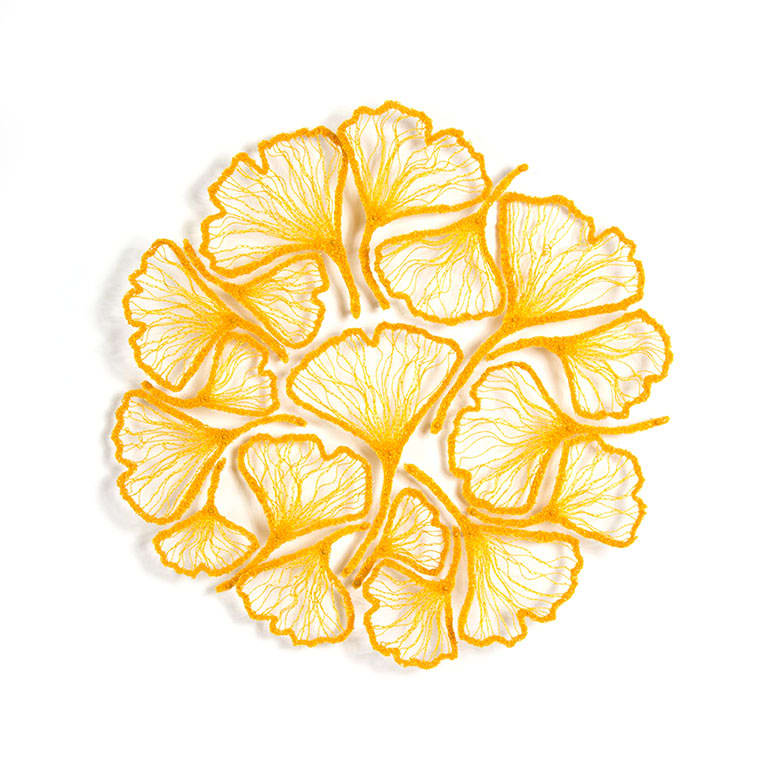 Ginkgo circle by Meredith Woolnough 