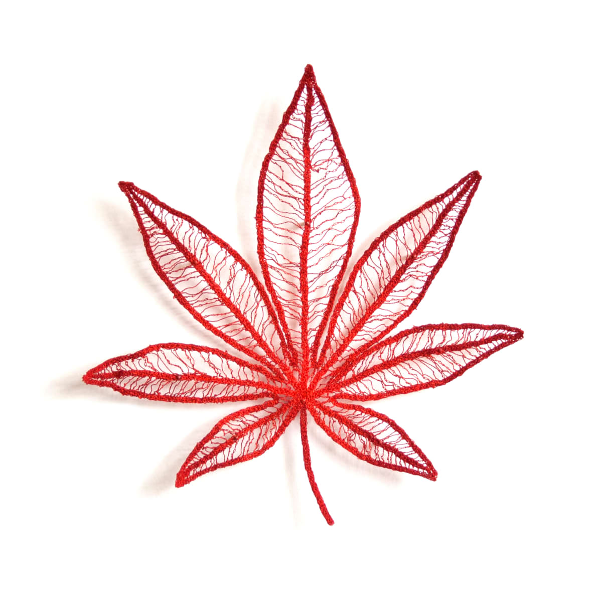 Japanese Maple Leaf 1 