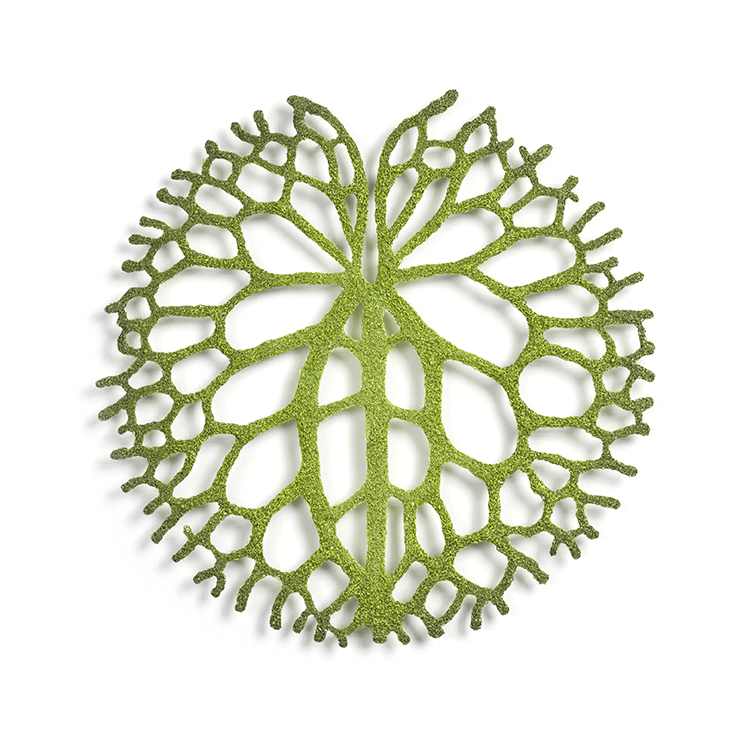 Lily pad by Meredith Woolnough, Image 2.