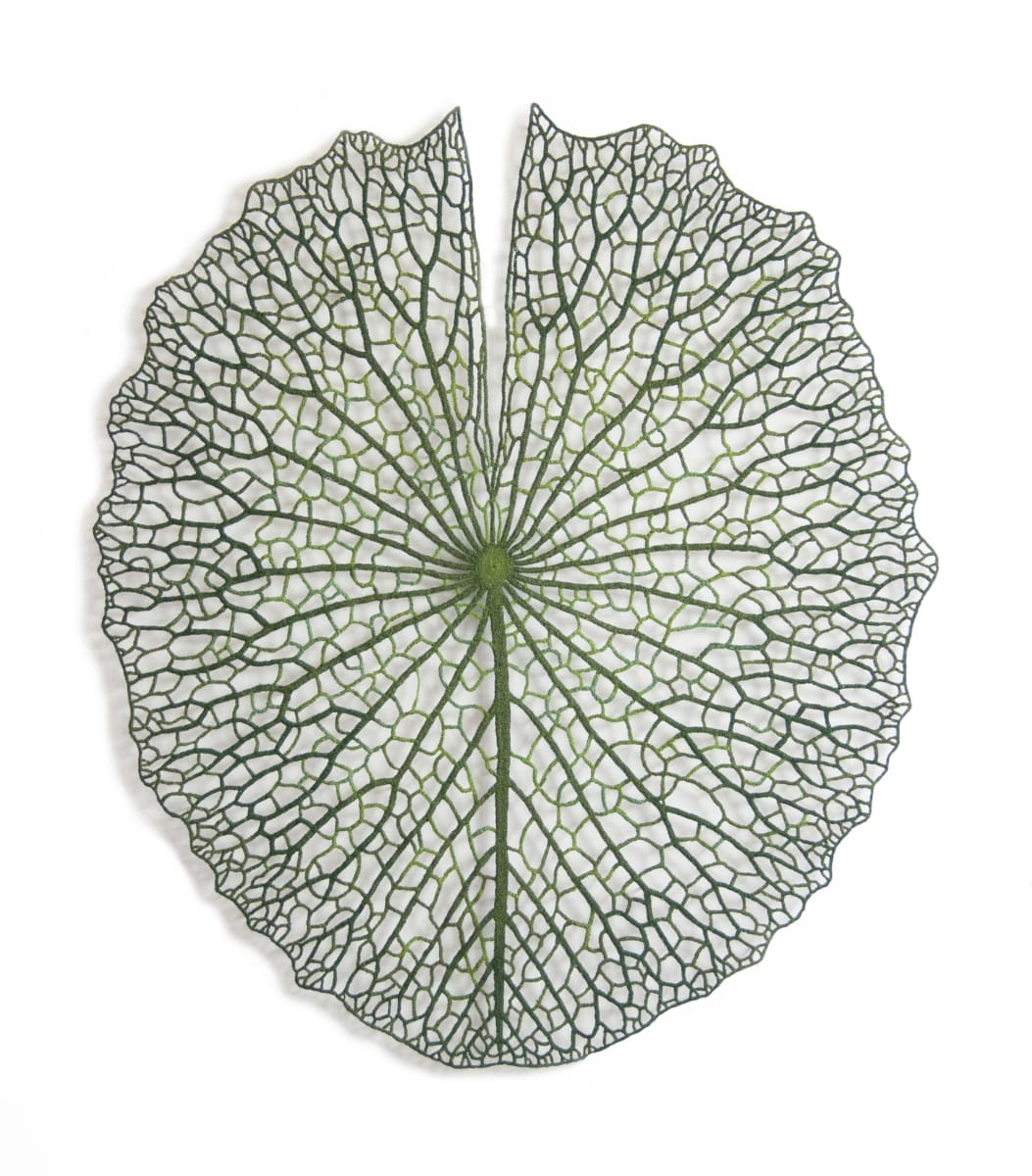 Giant Lily Pad 