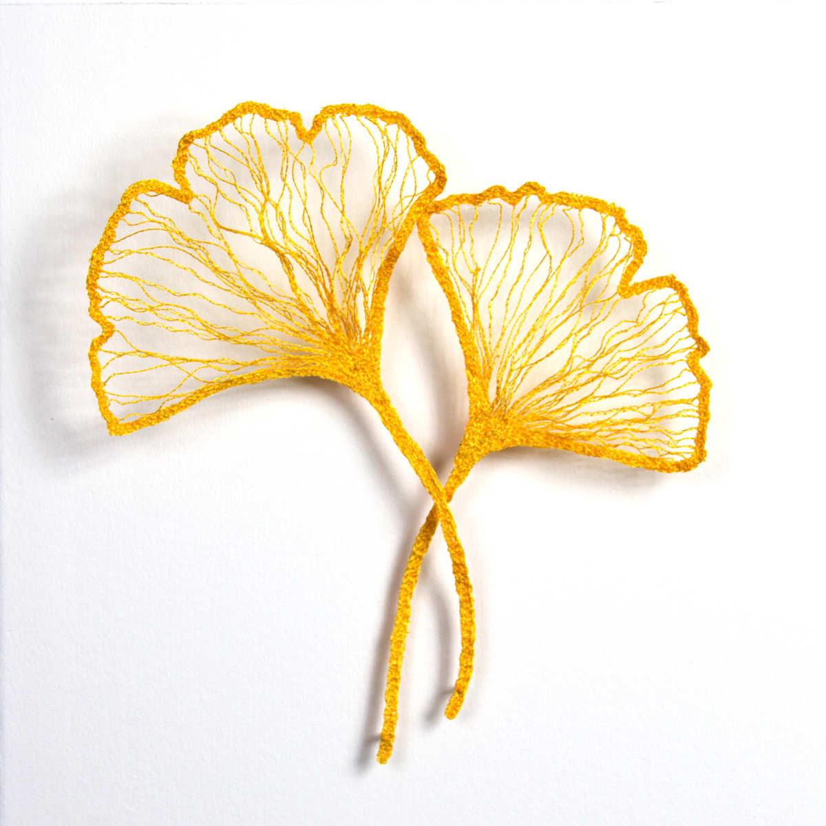 Little Ginkgo study 1 by Meredith Woolnough, Image 1.
