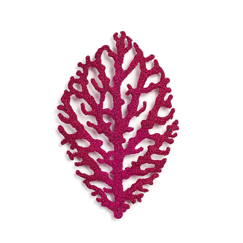 #24 Nerve Plant, Image 3.