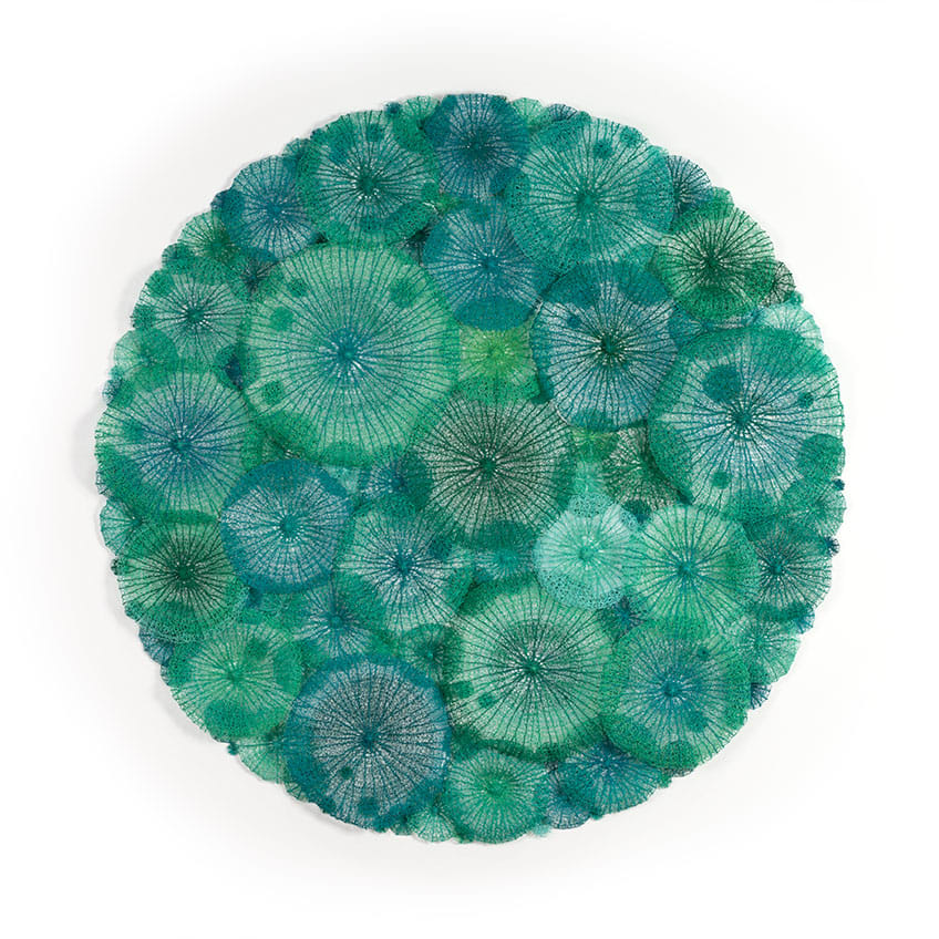 Corallimorph Circle, Image 6.