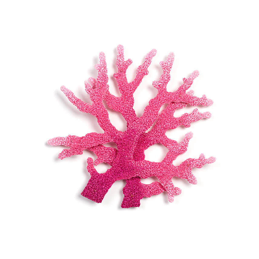 #98 Pink Double Coral, Image 2.
