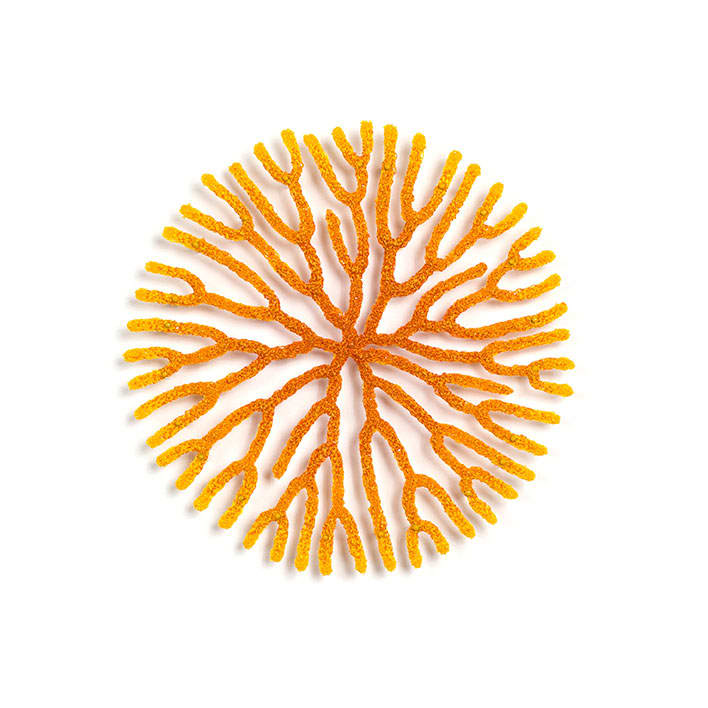 #41 yellow radiating circle, Image 3.