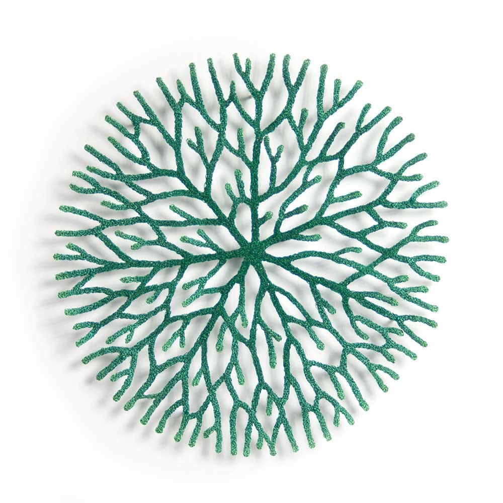 nature study (Radiating growth) by Meredith Woolnough 