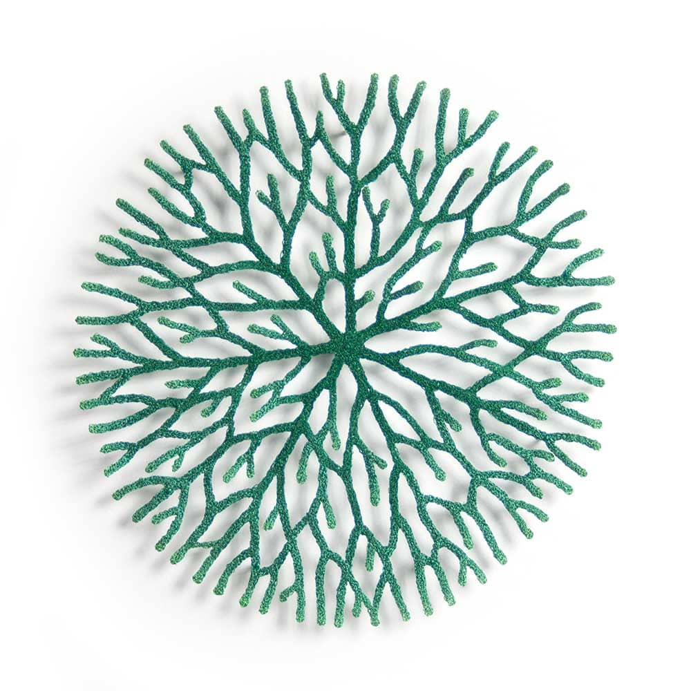 nature study (Radiating growth) by Meredith Woolnough, Image 1.