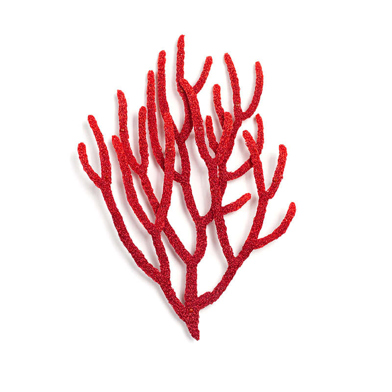 #31 Red Coral Double Layer 