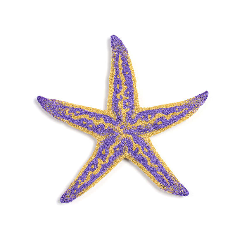 #91 Northern Pacific Sea Star 