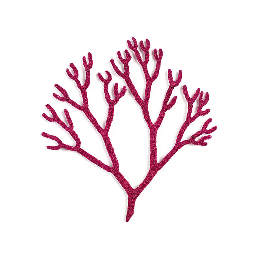 #17 Seaweed, Image 3.