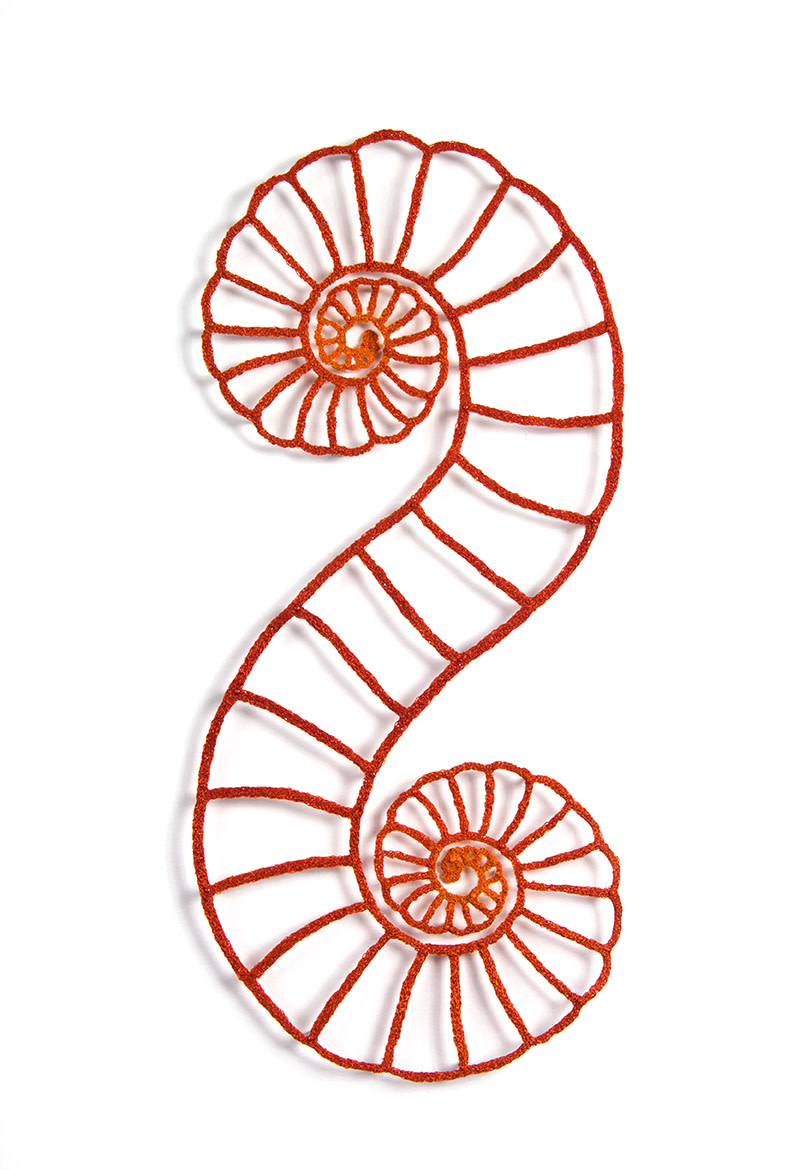 Double Spirula by Meredith Woolnough 