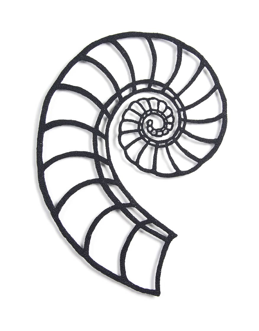 Spirula Shell by Meredith Woolnough, Image 2.