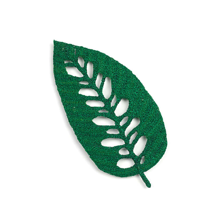 #70 Rhaphidophora forminifera by Meredith Woolnough, Image 3.