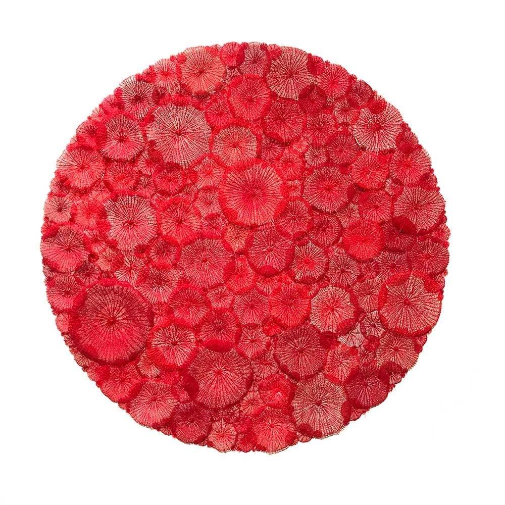 The New Neighbours by Meredith Woolnough 