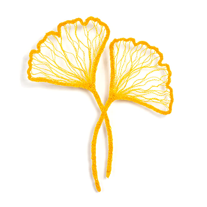 #48 Two Ginkgo's, Image 3.