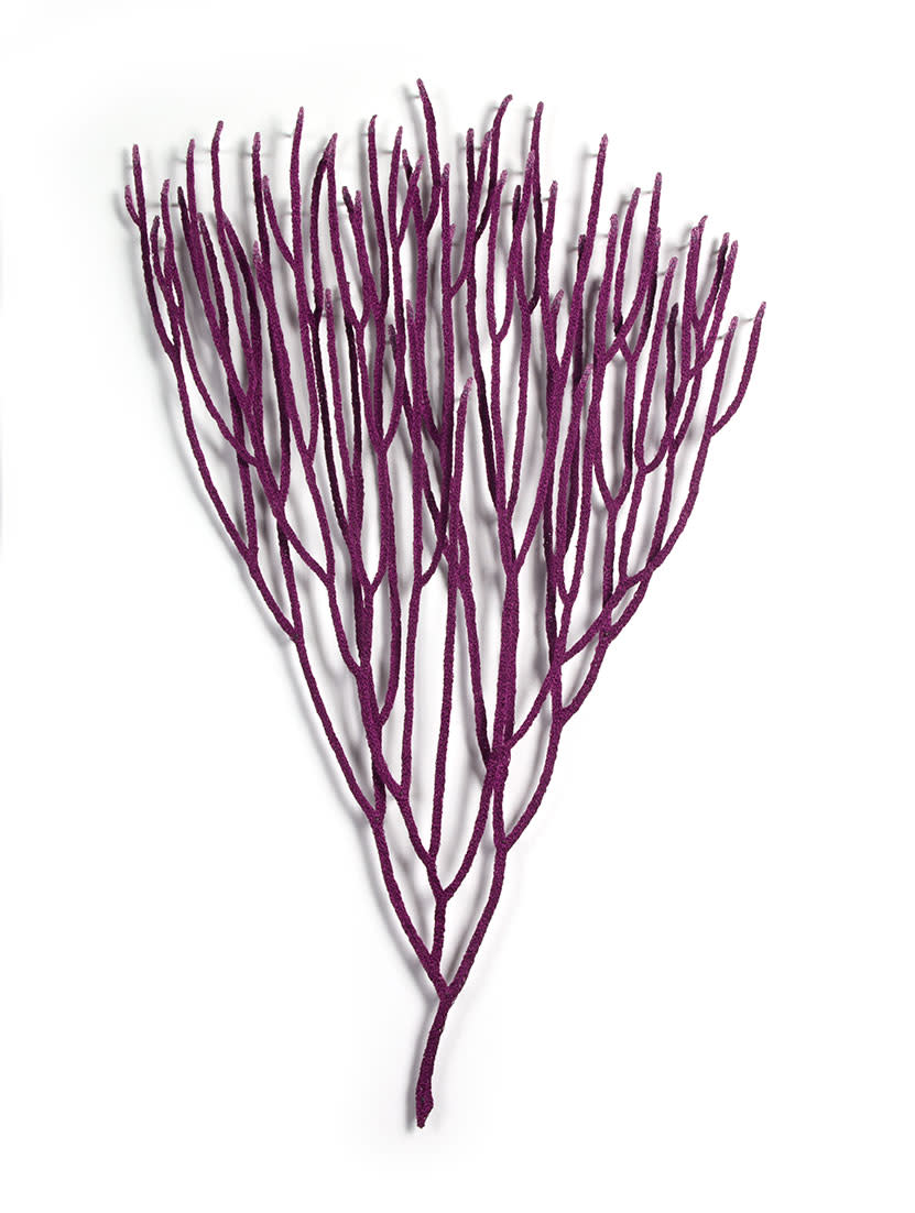 Violet Sea Whip by Meredith Woolnough 