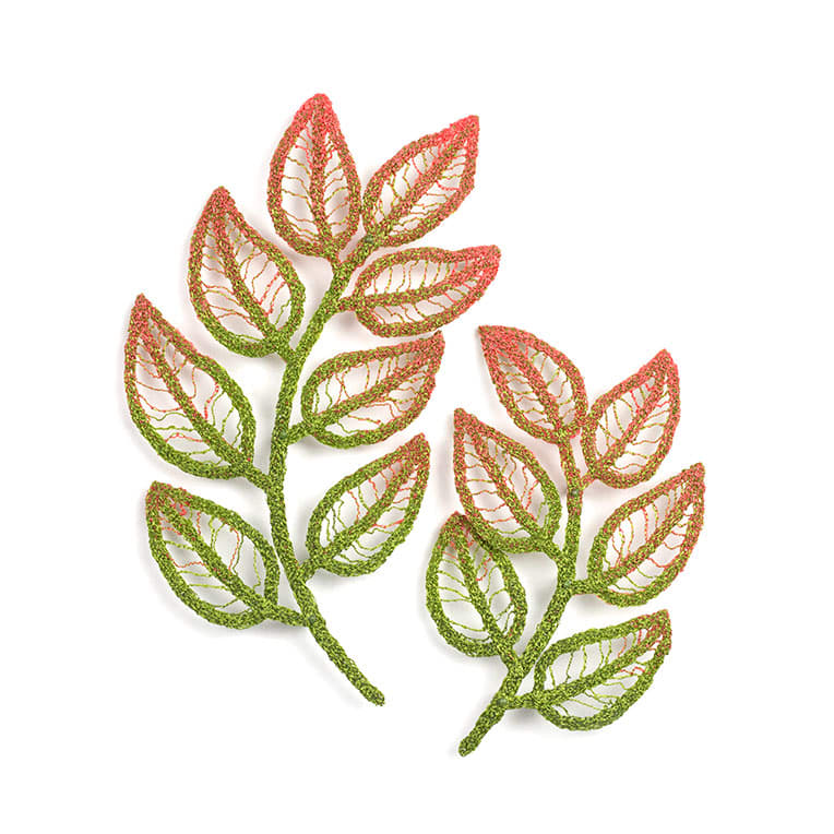 #75 Young Plant Fronds 