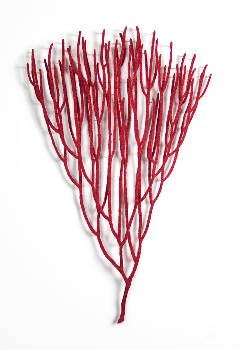 Red Sea Whip (Leptogorgia chilensis) by Meredith Woolnough 