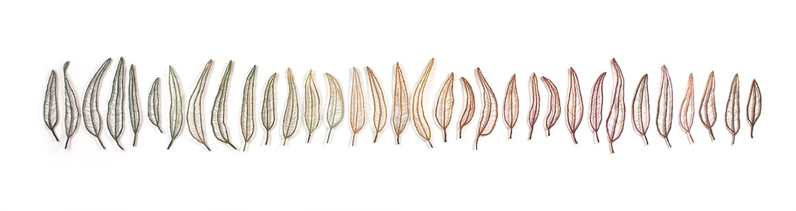 Leaf Line by Meredith Woolnough, Image 2.